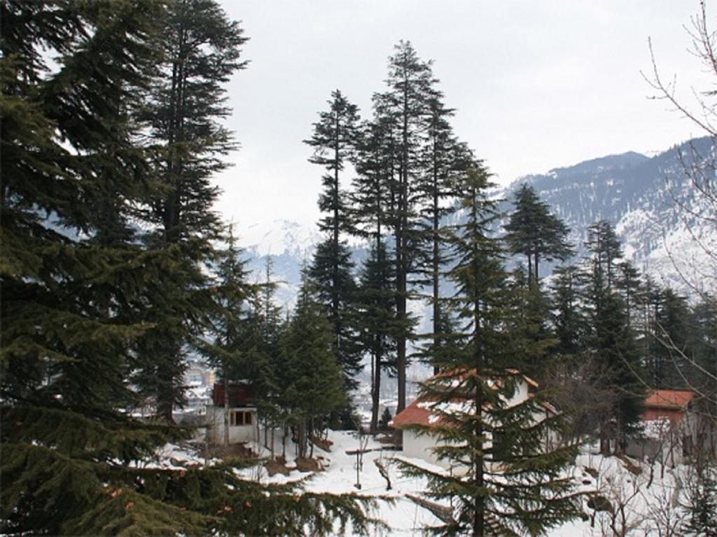 Hotel Greenfields Manāli Esterno foto